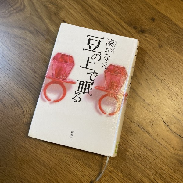 読書感想『豆の上で眠る』（ネタバレなし）サムネイル